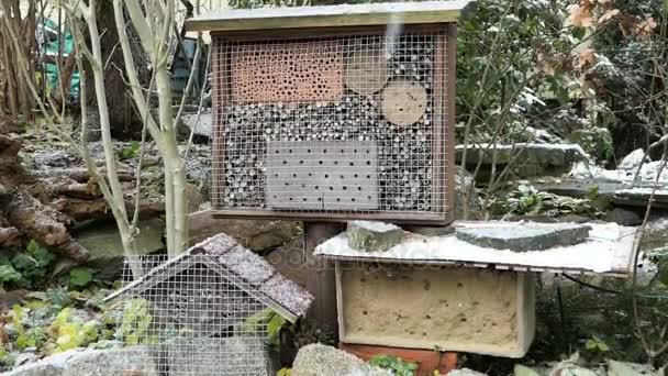 Dzikie Pszczoły Owad Hotel Okresie Zimowym Śnieg Ogrodzie — Wideo stockowe