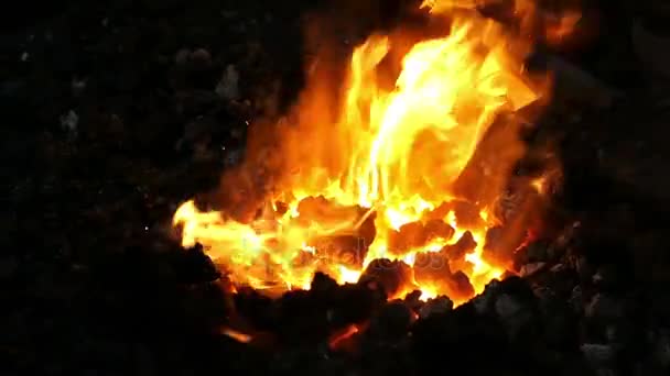 Fogo Num Ferreiro Chamas Vermelhas Alaranjadas Carvão — Vídeo de Stock