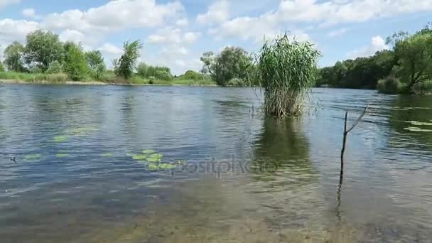 Гавел Річковий Краєвид Літній Час Havelland Німеччина — стокове відео