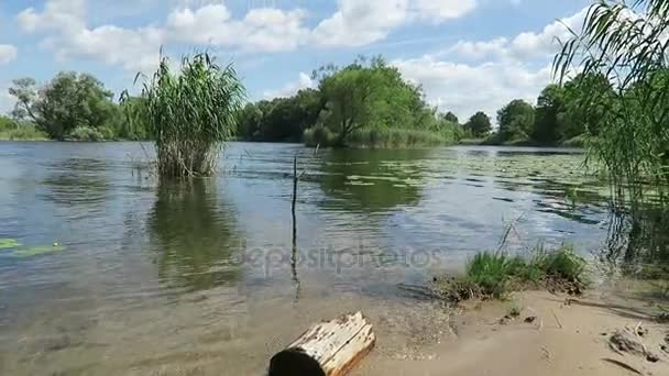 Havel Flodlandskap Sommartid Havelland Tyskland — Stockvideo