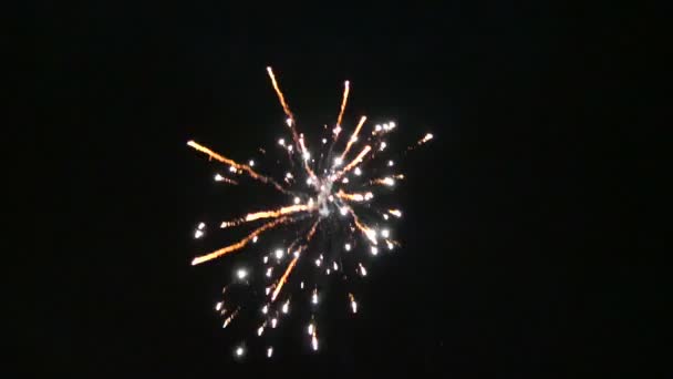 Εορτασμός Πρωτοχρονιάς Πυροτέχνημα Ουρανό Νύχτα — Αρχείο Βίντεο
