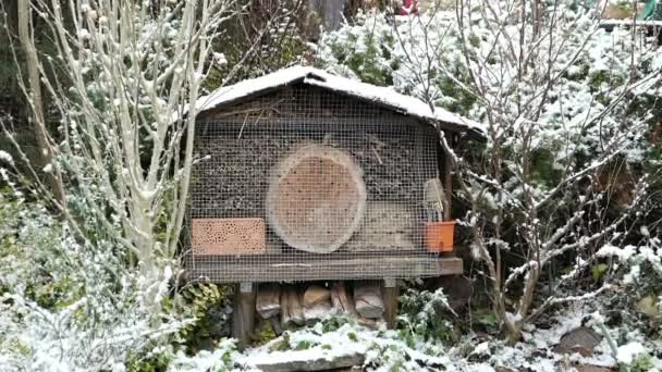 野生蜂冬時間に昆虫のホテルです 庭に雪が降ってください — ストック動画