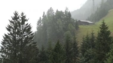 Avusturya Alplerinde yağmur havası. Büyük yağmur damlaları düşüyor. Arka planda geleneksel Tirol kulübesi.