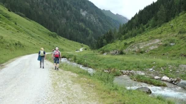 Gerlos Tirol Áustria Julho 2019 Grupo Idosos Caminhando Longo Vale — Vídeo de Stock