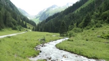 Tirol Avusturya 'daki Schwarzachtal vadisinden akan Alp dağı nehri.