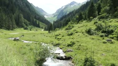 Tirol Avusturya 'daki Schwarzachtal vadisinden akan Alp dağı nehri.