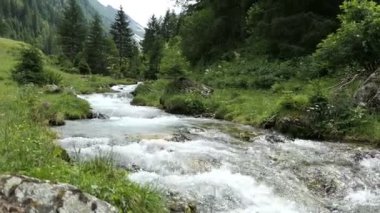 Tirol Avusturya 'daki Schwarzachtal vadisinden akan Alp dağı nehri.