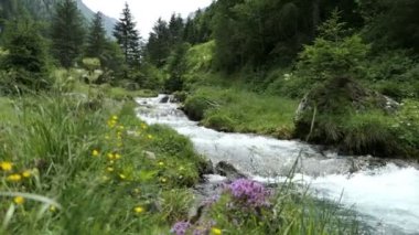 Tirol Avusturya 'daki Schwarzachtal vadisinden akan Alp dağı nehri.