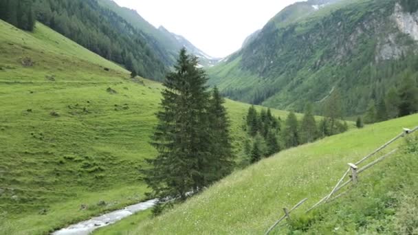 Rio Montanha Alpino Que Atravessa Vale Schwarzachtal Tirol Áustria — Vídeo de Stock