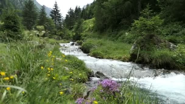 Rio Montanha Alpino Que Atravessa Vale Schwarzachtal Tirol Áustria — Vídeo de Stock