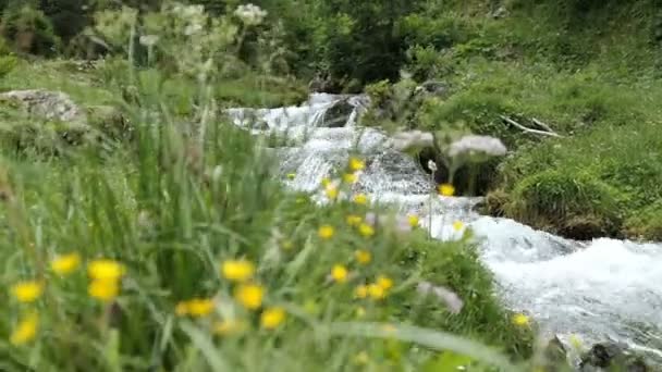 Alpesi Hegyi Folyó Folyik Keresztül Schwarzachtal Völgyben Tirol Ausztria — Stock videók