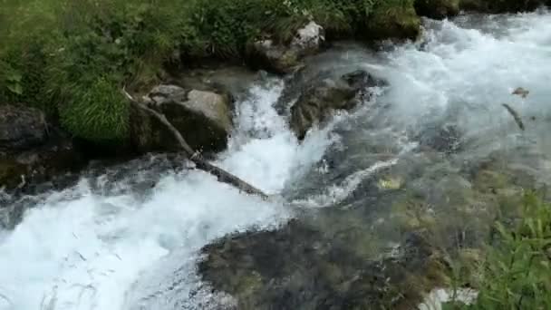 Fiume Alpino Che Scorre Attraverso Valle Dello Schwarzachtal Tirolo Austria — Video Stock