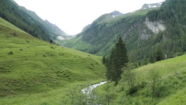 Schwarzachtal Tyrol Austria Lipca 2019 Starszy Turysta Spacerujący Szlakiem Turystycznym — Wideo stockowe