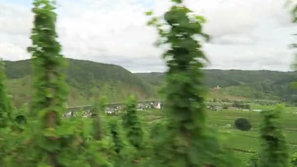 Conducir Largo Los Viñedos Del Río Mosela Pueblo Fondo Beilstein — Vídeo de stock