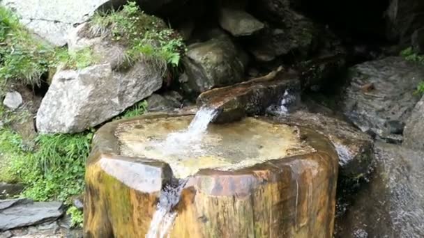 Fontaine Bois Dans Les Montagnes Alpines Autriche Printemps Tronc Traditionnel — Video