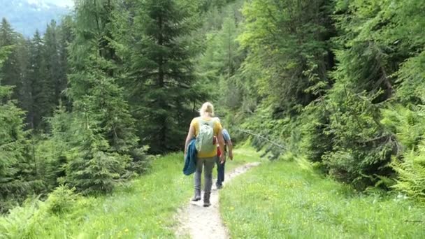 Gerlos Tirol Austria July 2019 Woman Going Trekking Tour Wild — 图库视频影像