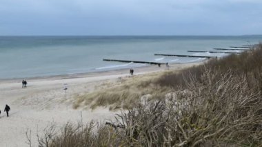 Ahrenshoop Baltık Denizi 'nin sahil uçurumundan sahile kadar havadan izleniyor. Yürüyen insanlar.