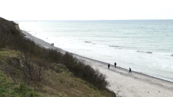 Vista Aérea Desde Acantilado Costa Ahrenshoop Mar Báltico Hasta Playa — Vídeos de Stock