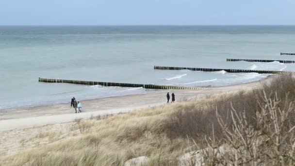 Uitzicht Vanuit Kustklif Van Ahrenshoop Baltische Zee Tot Aan Het — Stockvideo