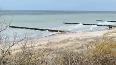 Ahrenshoop, Mecklenburg-Vorpommern / GERMANY - 15 Mart 2020: Almanya 'nın Mecklenburg-Vorpommern kentindeki Ahrenshoop köyünde Darss yarımadasının kıyı sahilinde yürüyen insanlar. Sazlı kum tepeleri.