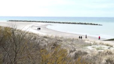 Ahrenshoop, Mecklenburg-Vorpommern / GERMANY - 15 Mart 2020: Almanya 'nın Mecklenburg-Vorpommern kentindeki Ahrenshoop köyünde Darss yarımadasının kıyı sahilinde yürüyen insanlar. Sazlı kum tepeleri.