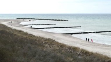 Ahrenshoop, Mecklenburg-Vorpommern / GERMANY - 15 Mart 2020: Almanya 'nın Mecklenburg-Vorpommern kentindeki Ahrenshoop köyünde Darss yarımadasının kıyı sahilinde yürüyen insanlar. Sazlı kum tepeleri.