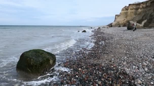 Ahrenshoop Mecklenburg Vorpommern Alemanha Março 2020 Pessoas Caminhando Longo Pedra — Vídeo de Stock