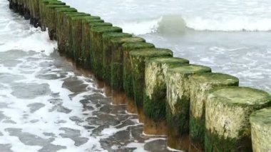 Darss yarımadasında geleneksel ahşap damızlıklarıyla birlikte Baltık deniz kıyısında. Fırtınalı hava.