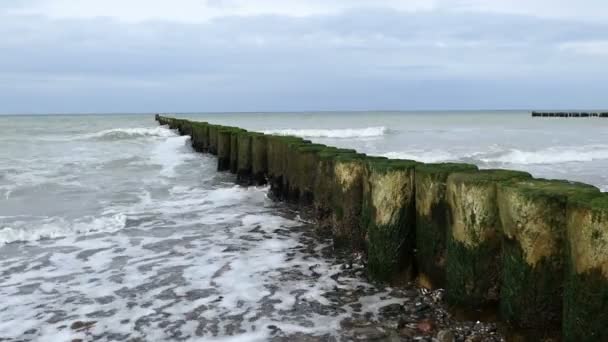 Östersjön Kust Vid Darss Halvön Med Traditionella Trä Groynes Längs — Stockvideo