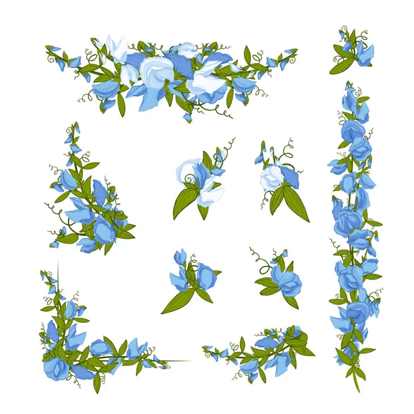 Bouquet de fleurs - Fond d'été avec pois doux — Image vectorielle