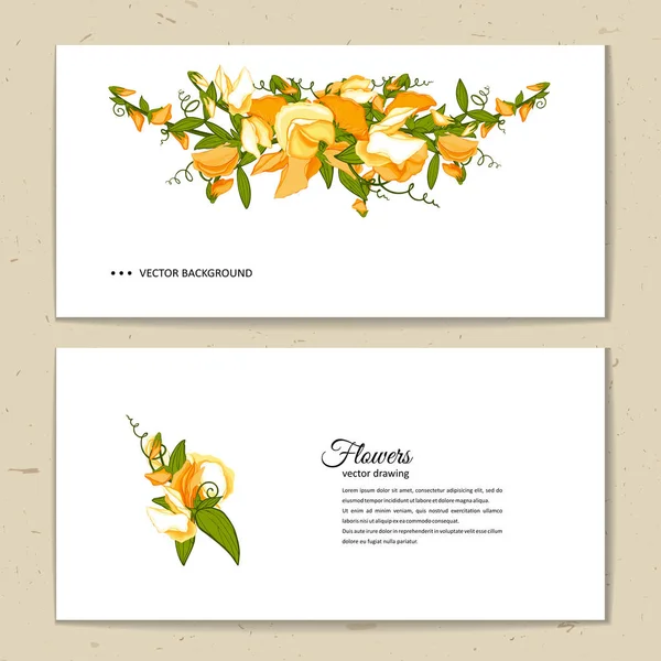 Bouquet de fleurs - Fond d'été avec pois doux — Image vectorielle