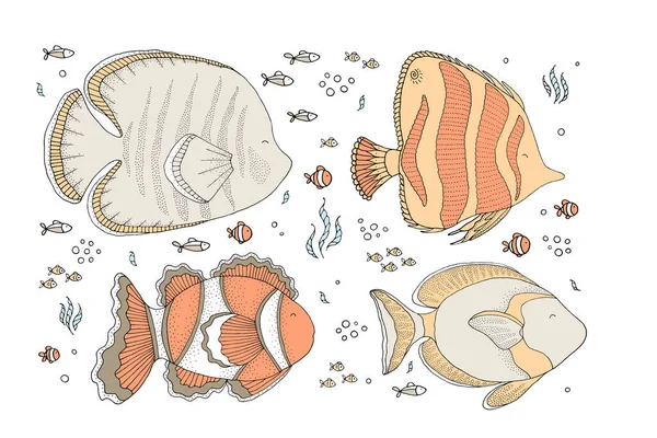Kreslení - legrační ryby a ručně kreslené prvky — Stockový vektor