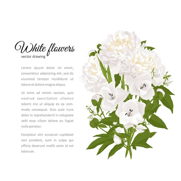 Pivoines Lis Compositions Florales Avec Fleurs Feuilles Peut Être Utilisé — Image vectorielle