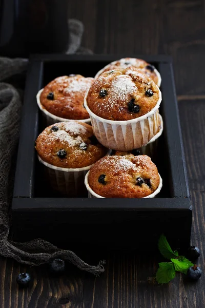 Muffins Avoine Aux Myrtilles Sur Fond Sombre — Photo