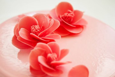 Modern kremalı pasta. Fransız mutfağı..