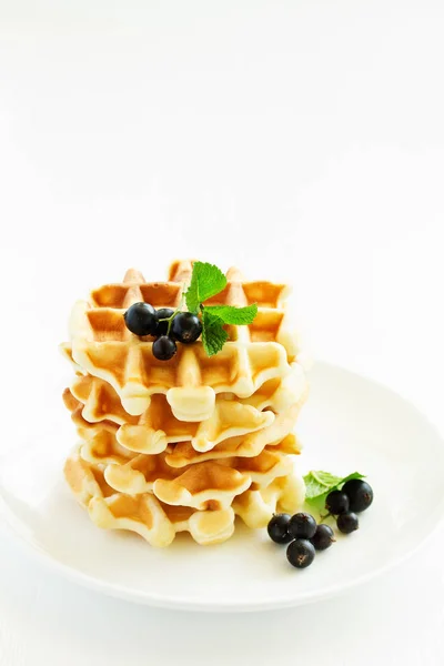 Gofres Caseros Con Una Ramita Grosellas Fondo Blanco — Foto de Stock