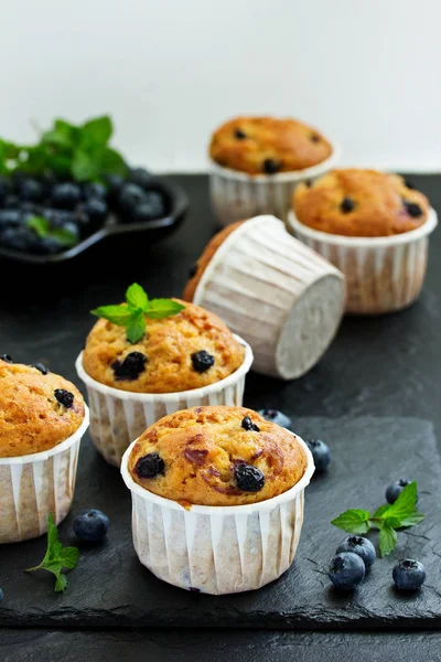 Muffins Avoine Aux Myrtilles Sur Fond Sombre — Photo