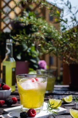 Soğuk serinletici tarhun, böğürtlen ve ahududu limonatasıyla