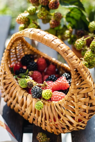 Framboesas frescas maduras e amoras silvestres com cesta de palha — Fotografia de Stock
