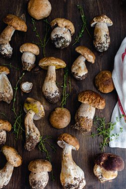 Çiğ, yenilebilir çörekler, porcini mantarlar, kırsal, siyah, ahşap torba.