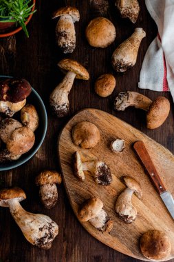 Çiğ, yenilebilir çörekler, porcini mantarlar, kırsal, siyah, ahşap torba.