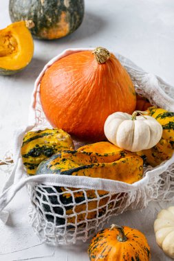 organik balkabakları pamuk torba içinde.