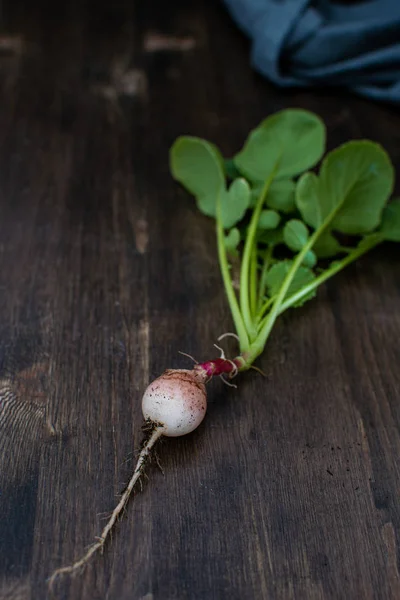 Concept d'échec minimal des cultures, légume biologique, radis sur rusti — Photo