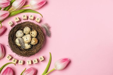 Kuş yuvasında bıldırcın yumurtası ve pastel arka planda pembe laleler fotokopi alanı, minimum paskalya kartı, organik tarım yiyeceği.