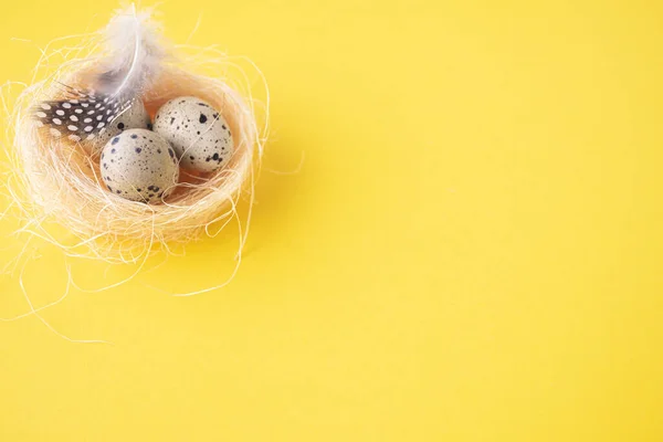 Quail Eggs Bird Nest Feather Pastel Yellow Background Copy Space — Stock Photo, Image