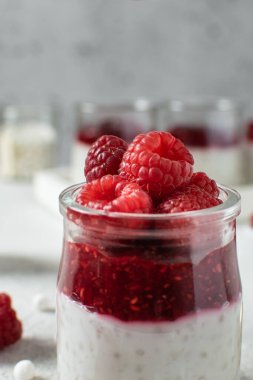 Seçici odak noktası, vegan tapyoka incilerine yakın plan süt ve taze ahududulu puding, sağlıklı atıştırmalık.