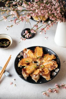 Masada soya soslu ve çiçekli kızarmış Japon Gyoza köftesi servis ettim.