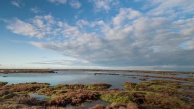 bir off road cepheye bağlı kamera ile çekim hyperlapse pov delta d'ebro Park, İspanya sular altında plaj üzerinde sürüş araç
