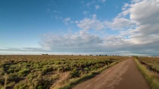 Hyperlapse Pov Kamery Připojené Předku Terénní Vozidla Přes Zaplavené Pláž — Stock video