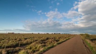 bir off road cepheye bağlı kamera ile çekim hyperlapse pov delta d'ebro Park, İspanya sular altında plaj üzerinde sürüş araç
